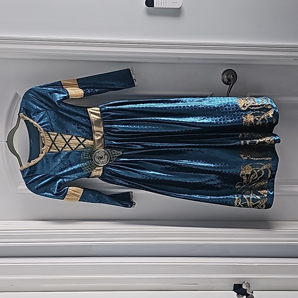 Disney Merida dress
